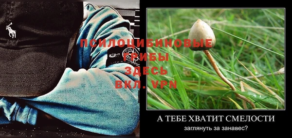 круглые Абаза