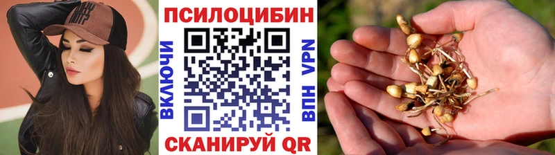 Псилоцибиновые грибы мицелий  Покачи 